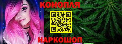 крисы Кизляр