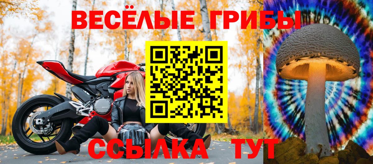 Галлюциногенные грибы прущие грибы Тимашёвск